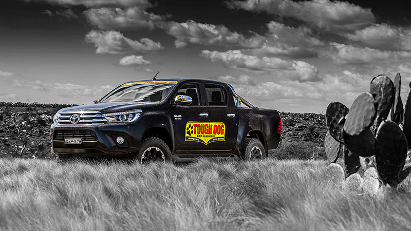 Tough Dog Hilux